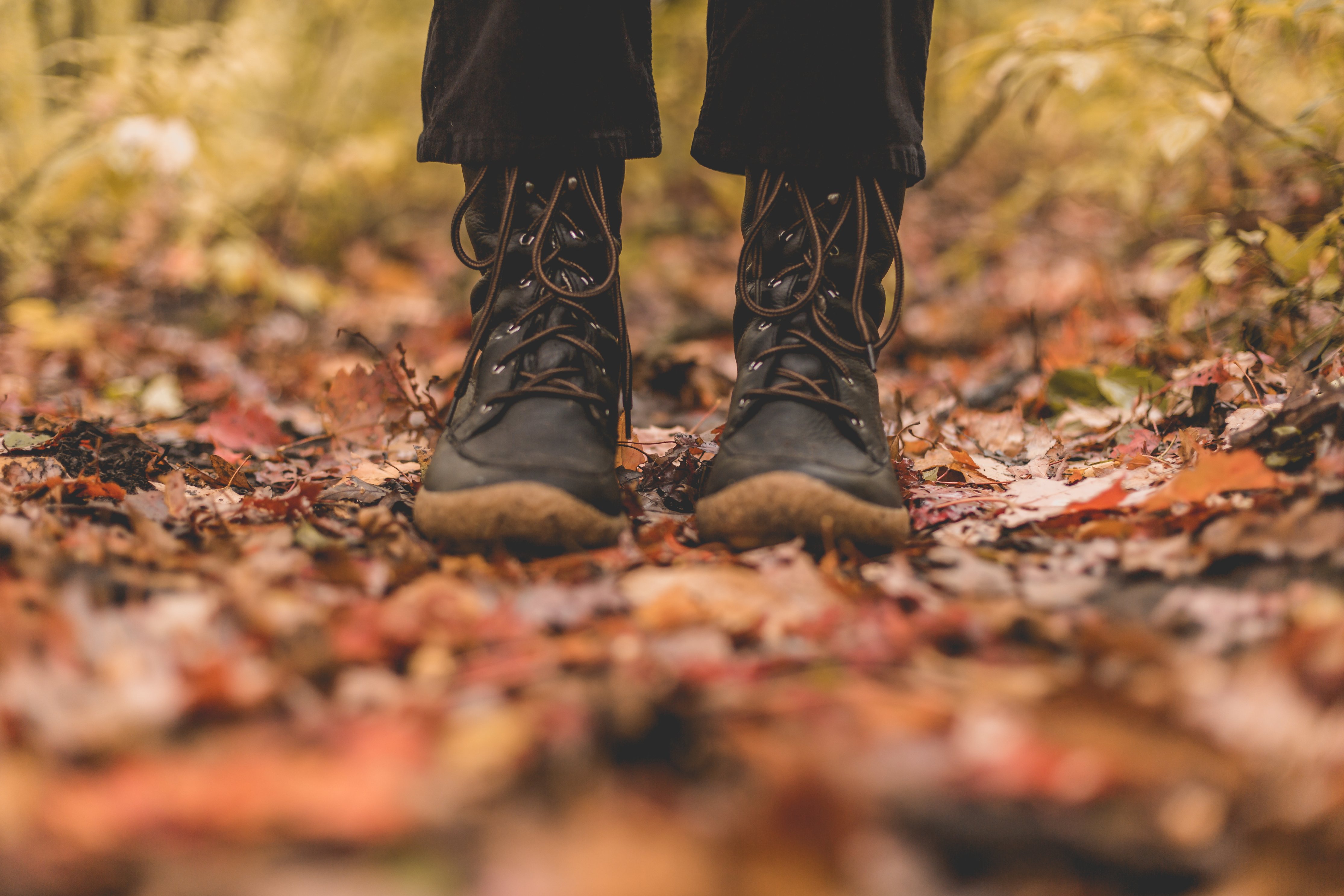boots-in-autumn-leaves_4460x4460