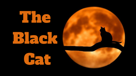 Caturday ~ The Black Cat