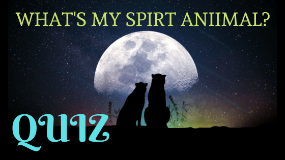 QUIZ ~ What’s my spirit&nbsp;animal?