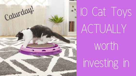Caturday ~ 10 cat toys actually worth investing&nbsp;in