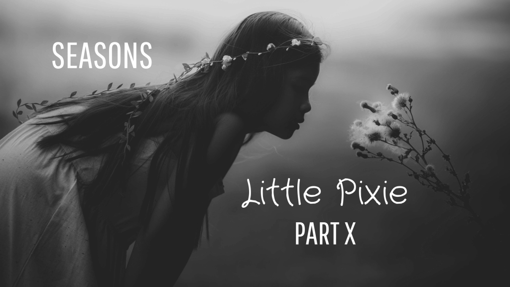 Little Pixie ~ Seasons (Part&nbsp;X)