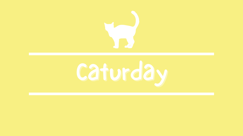 Caturday ~ Seven Tips on Keeping Your Cat Hydrated