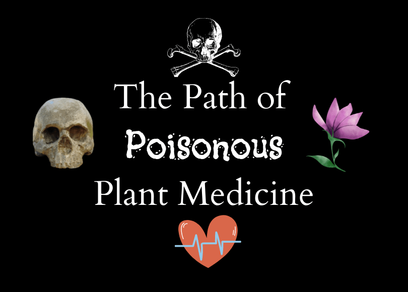 The Path of Poisonous Plant Medicine&nbsp;(Intro)