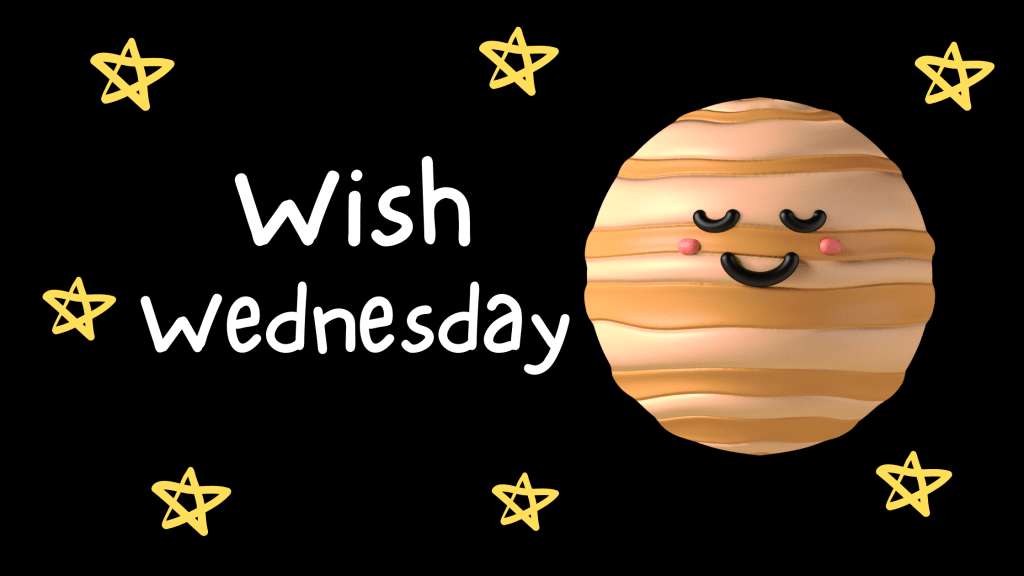 My Dream CAT&nbsp;HOTEL!