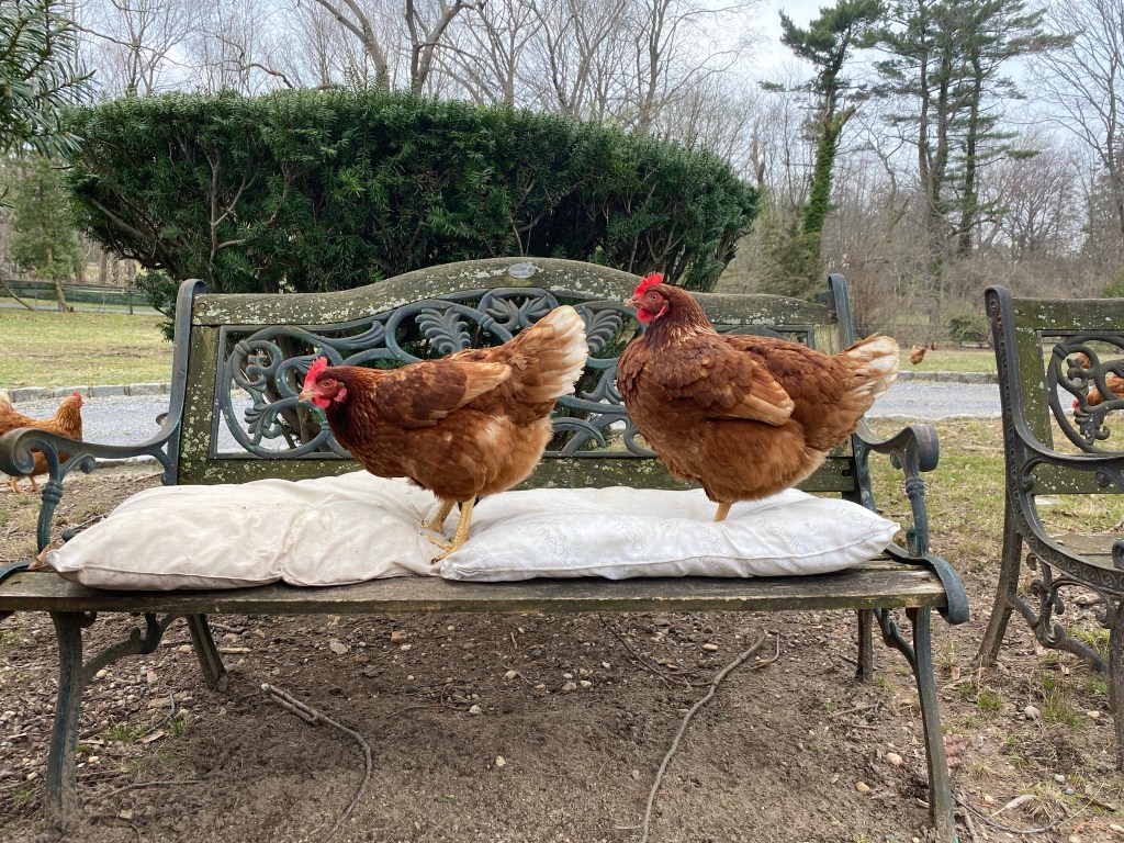 Mom and Dad&nbsp;visit