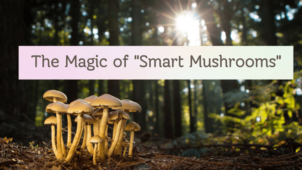 Herbalism | The Magic of “Smart Mushrooms”
