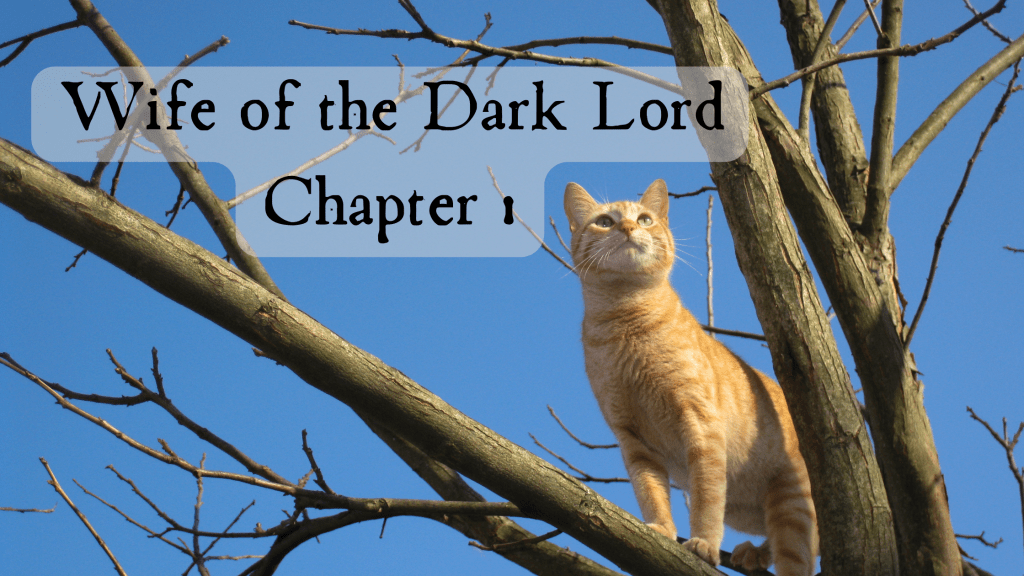 Wife of the Dark Lord (chapter&nbsp;1)
