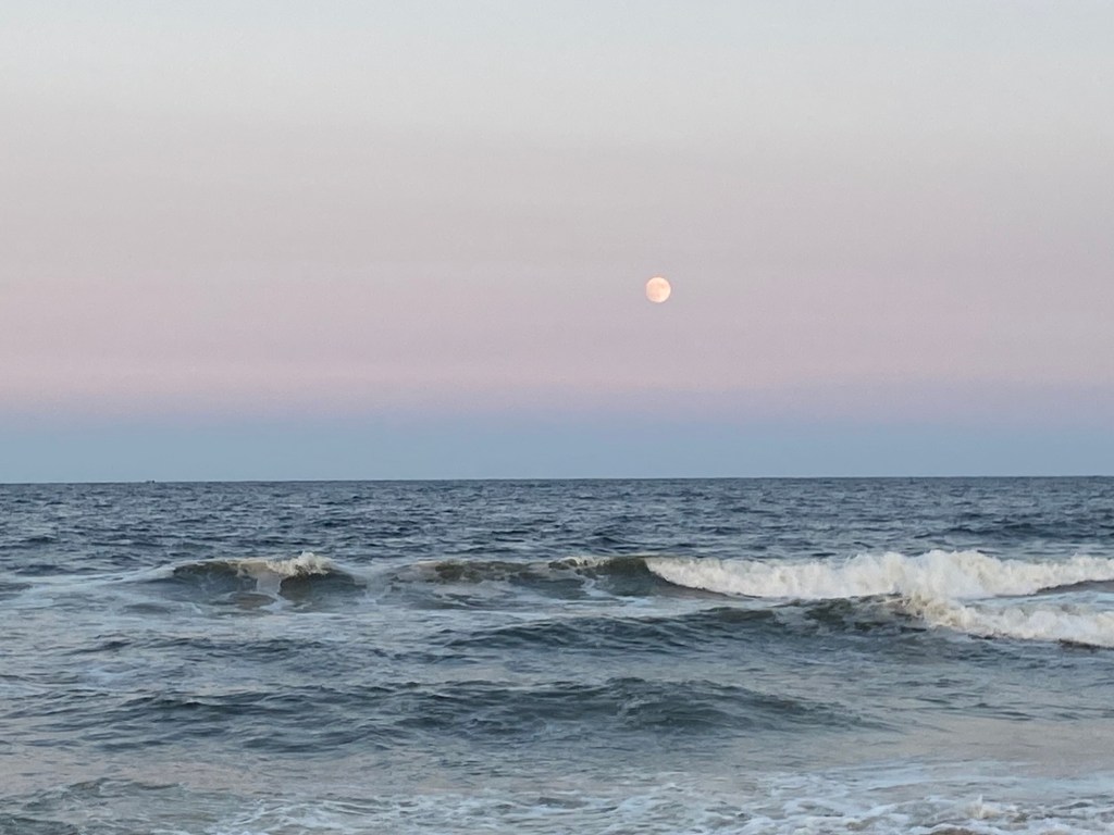 Ocean grove & summer recap 2025 (finding light in the&nbsp;darkness)