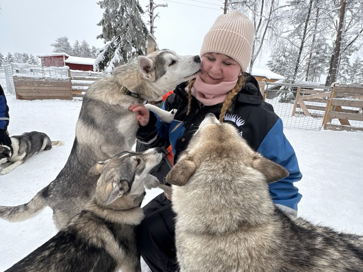 Adventures in Lapland,&nbsp;Finland!