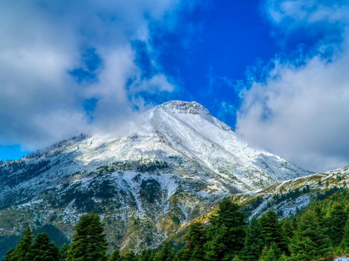 Greek Mythology Pt.3: THE&nbsp;OLYMPIANS