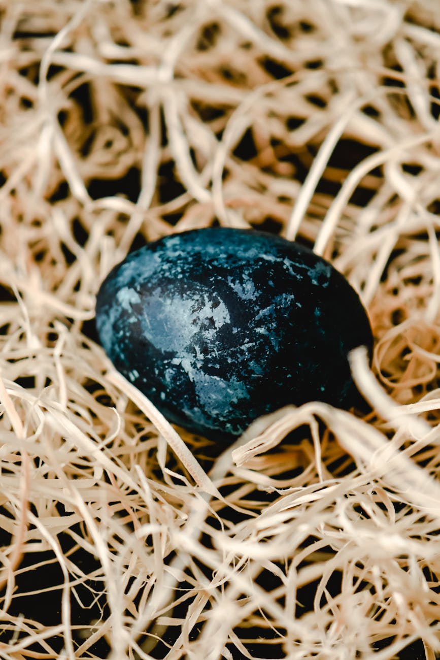 Pennsylvania Dutch Folklore | “The Blue&nbsp;Egg”