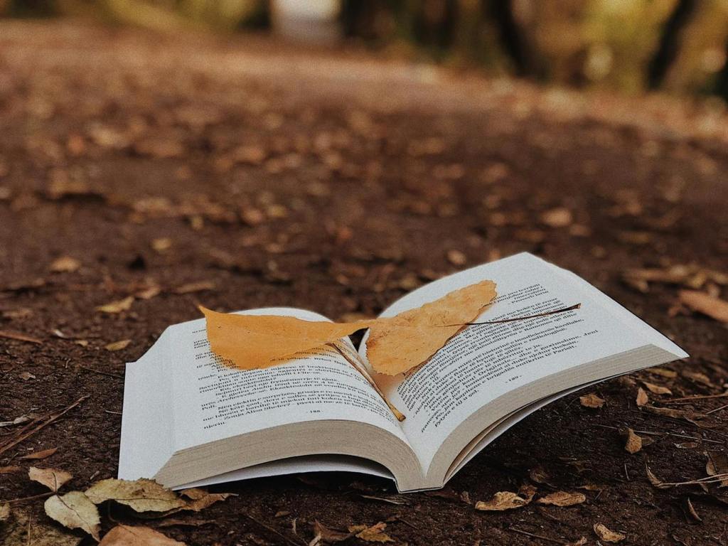 Book-writing chapter comes to a&nbsp;close.