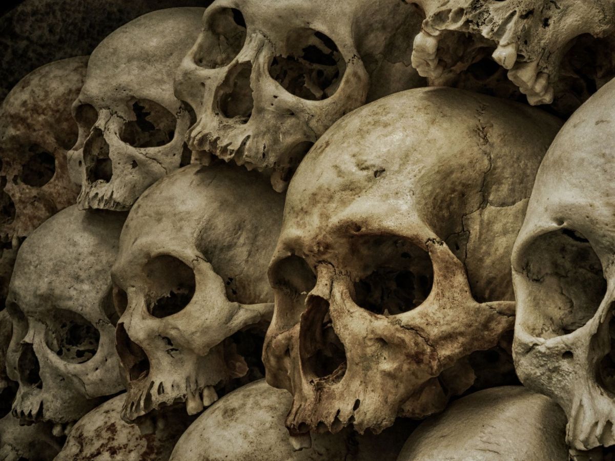 Pennsylvania Dutch Folklore | “The Skull&nbsp;Tree”